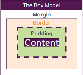 box-model